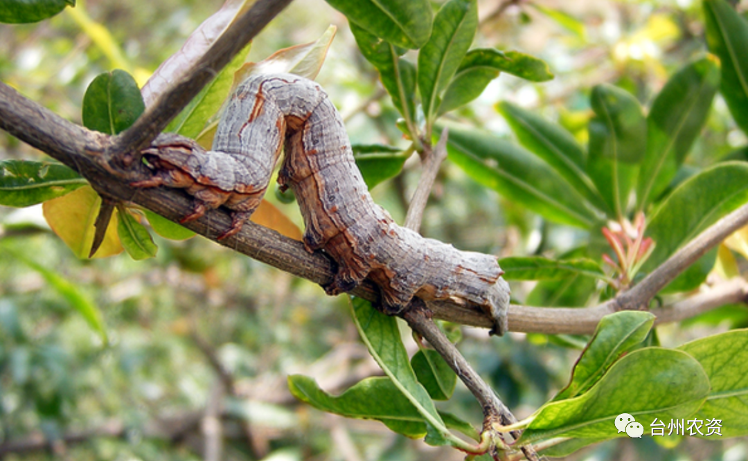 1675662114375581.png 640 (34).png