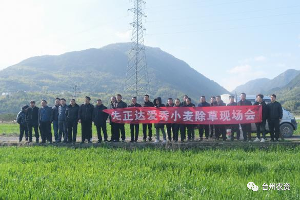 1677737272534971.png 640 (79).png